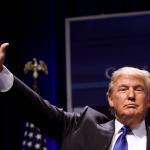 The Donald Drumpf