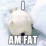 sleepy seal | I; AM FAT | image tagged in sleepy seal | made w/ Imgflip meme maker