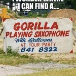 Gorilla | I WONDER WHERE I CAN FIND A.... | image tagged in gorilla | made w/ Imgflip meme maker