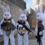 Bunny Soldiers