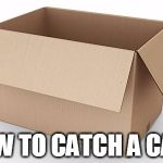 How to catch a cat? | HOW TO CATCH A CAT? | image tagged in empty cardboard box,catch cat,how to,catch,cat,memes | made w/ Imgflip meme maker