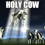 Cows flying  | HOLY COW | image tagged in cows flying | made w/ Imgflip meme maker