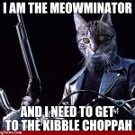 terminator cat | I AM THE MEOWMINATOR; AND I NEED TO GET TO THE KIBBLE CHOPPAH | image tagged in terminator cat | made w/ Imgflip meme maker