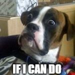 Dogs | WHEN A FRIEND ASKS; IF I CAN DO THEM A FAVOR | image tagged in dogs | made w/ Imgflip meme maker
