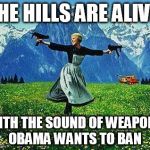 Julie Andrews Machine Guns | THE HILLS ARE ALIVE; WITH THE SOUND OF WEAPONS OBAMA WANTS TO BAN | image tagged in julie andrews machine guns,obama,guns | made w/ Imgflip meme maker