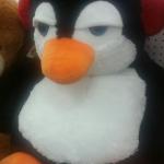 Plush penguin is not amused
