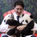 Trudeau pandas