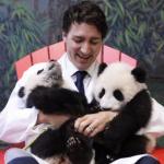 Trudeau pandas meme