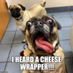 Crazy Dog | I HEARD A CHEESE WRAPPER!!! | image tagged in crazy dog | made w/ Imgflip meme maker