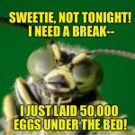 MR GREEN BUG | SWEETIE, NOT TONIGHT! I NEED A BREAK--; I JUST LAID 50,000 EGGS UNDER THE BED! | image tagged in mr green bug | made w/ Imgflip meme maker