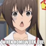 Surprised anime | WHEN HOME WORK DUE | image tagged in surprised anime | made w/ Imgflip meme maker