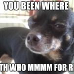 Skeptical Chihuahua | YOU BEEN WHERE; WITH WHO MMMM FOR REAL | image tagged in skeptical chihuahua | made w/ Imgflip meme maker