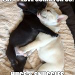 Puppy love | WE'VE GOT MORE THAN PUPPY LOVE GOING FOR US! HUGS & SNUGGLES TO YOU | image tagged in puppy love | made w/ Imgflip meme maker