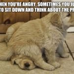 Upvote This If You Love Puppies | WHEN YOU'RE ANGRY, SOMETIMES YOU JUST HAVE TO SIT DOWN AND THINK ABOUT THE PROBLEM | image tagged in memes,funny,animals,funny animals,cute puppies,front page | made w/ Imgflip meme maker
