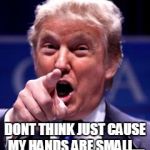 Trump Trademark | DONT THINK JUST CAUSE MY HANDS ARE SMALL.... | image tagged in trump trademark | made w/ Imgflip meme maker