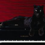 Sex Panther