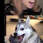 Anna Kendrick vs Bad Pun Dog meme