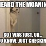 Embarassed Husky | I HEARD THE MOANING, SO I WAS JUST, UH... YOU KNOW, JUST CHECKING... | image tagged in embarassed husky | made w/ Imgflip meme maker