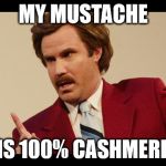 100% | MY MUSTACHE; IS 100% CASHMERE | image tagged in ron burgundy | made w/ Imgflip meme maker