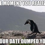 Sad Penguin | THE MOMENT YOU REALIZED; YOUR DATE DUMPED YOU | image tagged in sad penguin | made w/ Imgflip meme maker