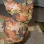 Camo cat