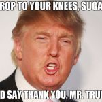 Donald Trump | DROP TO YOUR KNEES, SUGAR; AND SAY THANK YOU, MR. TRUMP | image tagged in donald trump | made w/ Imgflip meme maker