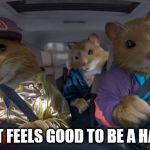 gangsta hamsta | DAMN IT FEELS GOOD TO BE A HAMSTER | image tagged in cool kia hamsters | made w/ Imgflip meme maker
