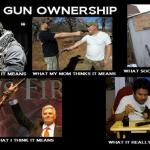 Gun ownership meme