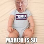 Crying Trump Baby | MARCO IS SO MEAN TO ME.... | image tagged in crying trump baby | made w/ Imgflip meme maker