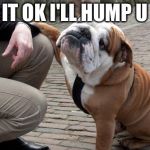 Sympathetic Bulldog | IT OK I'LL HUMP U | image tagged in sympathetic bulldog | made w/ Imgflip meme maker