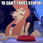 Ya Can't Trust Stupid! | YA CAN'T TRUST STUPID! | image tagged in dixie scoffing,you can't trust stupid,memes,disney,the fox and the hound 2,dog | made w/ Imgflip meme maker