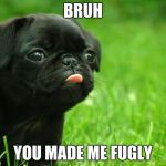 Derpy Puppy! | BRUH; YOU MADE ME FUGLY | image tagged in derpy puppy | made w/ Imgflip meme maker