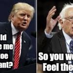 Who wouldn't want a president that cares! | Why did you give me this Aloe Vera plant? So you wouldn't Feel the Bern! | image tagged in trump bernie,president,funny,memes,presidential race,feel the bern | made w/ Imgflip meme maker