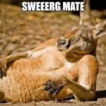 ermagherd swerrrg | SWEEERG MATE | image tagged in swag wallaby | made w/ Imgflip meme maker