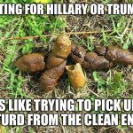 dog turd | VOTING FOR HILLARY OR TRUMP... IS LIKE TRYING TO PICK UP A TURD FROM THE CLEAN END... | image tagged in dog turd | made w/ Imgflip meme maker