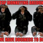monkeys | STOP MONKEYING AREOUND; WE HAVE BUSINESS TO DO | image tagged in monkeys | made w/ Imgflip meme maker