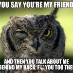 WTF Owl | YOU SAY YOU'RE MY FRIEND; AND THEN YOU TALK ABOUT ME BEHIND MY BACK. F*** YOU TOO THEN | image tagged in wtf owl | made w/ Imgflip meme maker