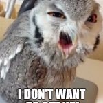 owl | NOOOOOOOO! I DON'T WANT TO GET UP! | image tagged in owl | made w/ Imgflip meme maker