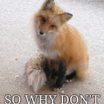 Fox | I'M CUTE; SO WHY DON'T YOU LOVE ME | image tagged in fox | made w/ Imgflip meme maker
