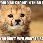 WTF cheetah | YOU WOULD TALK TO ME IN THIRD GRADE; NOW YOU DON'T EVEN WANT TO SAY HI? | image tagged in wtf cheetah | made w/ Imgflip meme maker