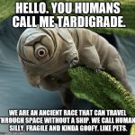 tardigrade | HELLO. YOU HUMANS CALL ME TARDIGRADE. WE ARE AN ANCIENT RACE THAT CAN TRAVEL THROUGH SPACE WITHOUT A SHIP. WE CALL HUMANS SILLY, FRAGILE AND KINDA GOOFY. LIKE PETS. | image tagged in tardigrade | made w/ Imgflip meme maker