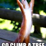 Squirrel, Hands Raised | ERRRGGG! GO CLIMB A TREE OR SOMETHING! | image tagged in squirrel hands raised | made w/ Imgflip meme maker