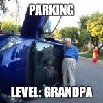 nice pants | PARKING; LEVEL: GRANDPA | image tagged in granny flip | made w/ Imgflip meme maker