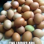 eggs | SPRING HAS SPRUNG; THE LADIES ARE LETTING IT ALL OUT | image tagged in eggs | made w/ Imgflip meme maker