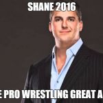 Shane Mcmahon | SHANE 2016 MAKE PRO WRESTLING GREAT AGAIN | image tagged in shane mcmahon | made w/ Imgflip meme maker