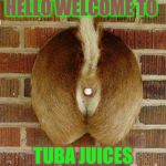 hello are you there hello hole | HELLO WELCOME TO; TUBA JUICES | image tagged in hello are you there hello hole | made w/ Imgflip meme maker