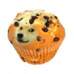 doge muffin meme