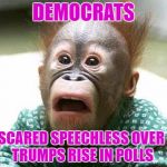 funny as shit to watch them squirm | DEMOCRATS; SCARED SPEECHLESS OVER TRUMPS RISE IN POLLS | image tagged in stressedoutface,memes,democrats,trump | made w/ Imgflip meme maker