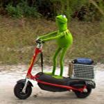 kermit scooter mirror