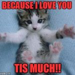I love you this much  | BECAUSE I LOVE YOU; TIS MUCH!! | image tagged in i love you this much | made w/ Imgflip meme maker